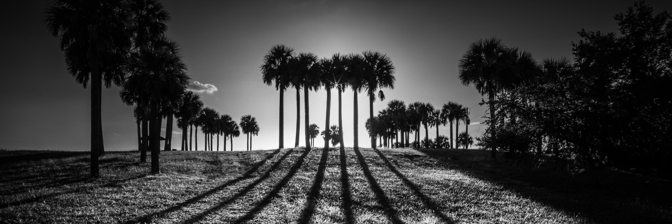 FloridaSoundMan's profile banner image