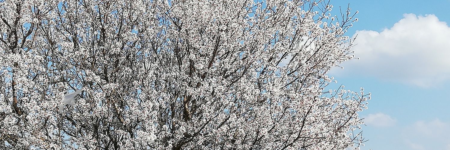 vedat_17's profile banner image