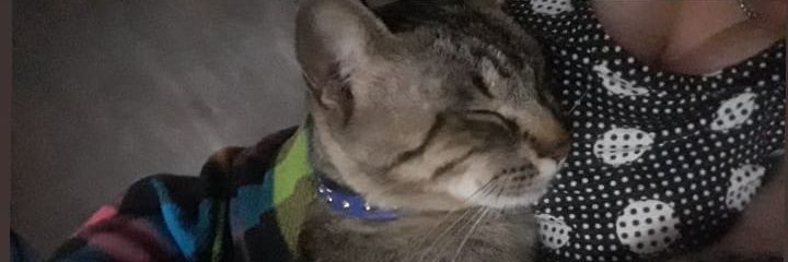 floforneris's profile banner image
