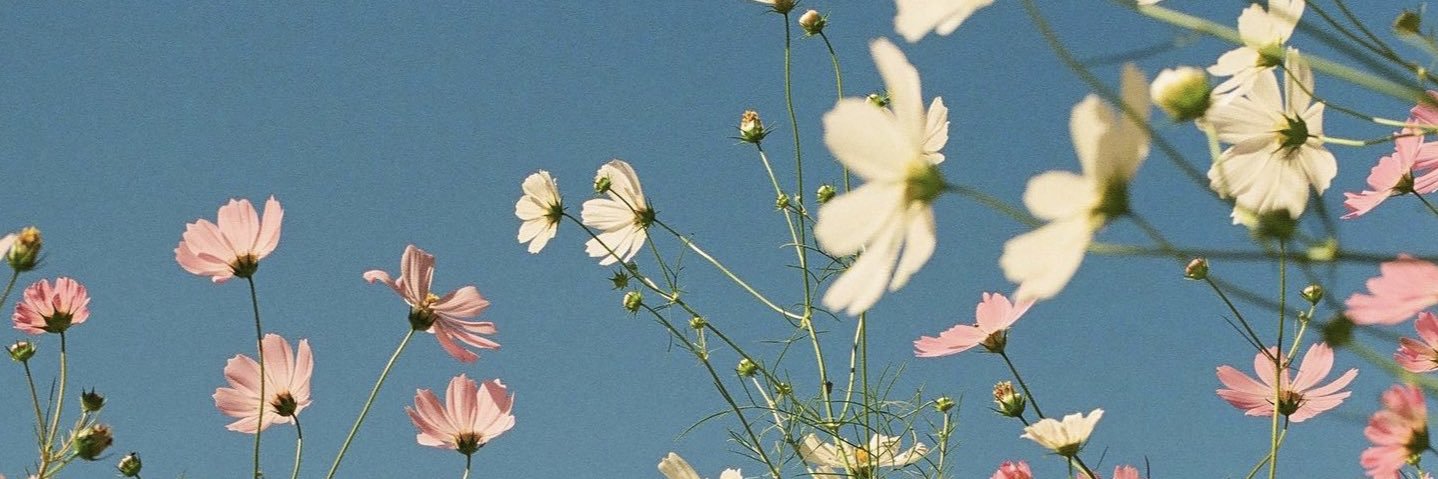 jessrcn's profile banner image
