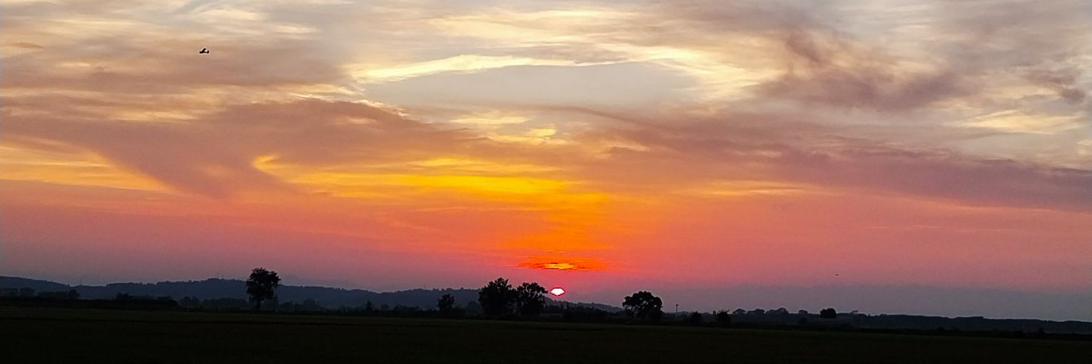 Patty Mayonnaise banner
