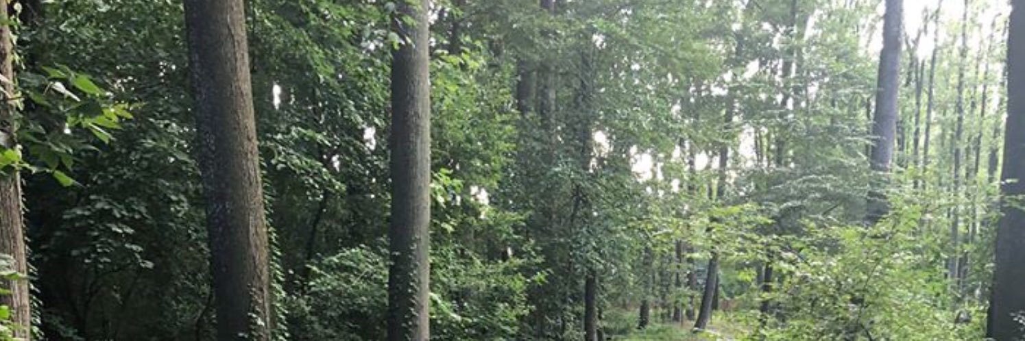 morrowfcs's profile banner image