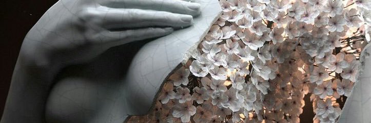 Hadassa banner