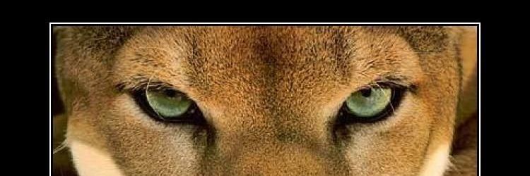 Master_Jedi_78's profile banner image