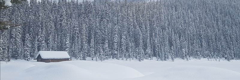 rayaftergray's profile banner image