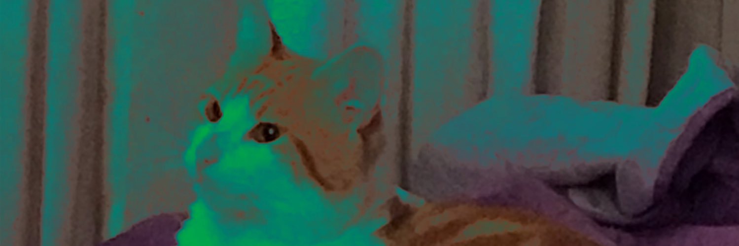 inthshadowplay's profile banner image