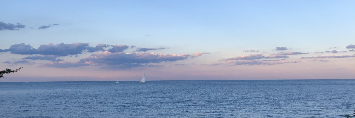 ninakozik's profile banner image