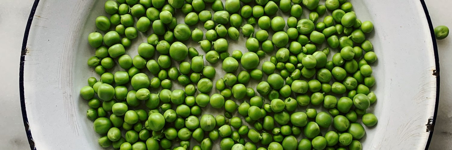 sweetsugarbean banner