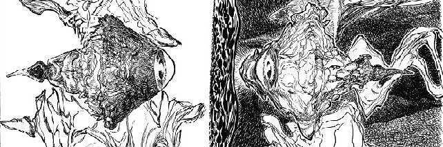 Squarrocks's profile banner image