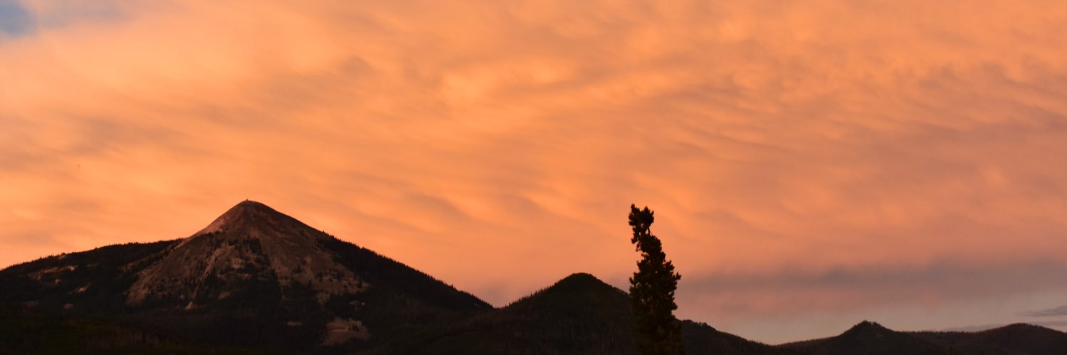 SZ77767's profile banner image
