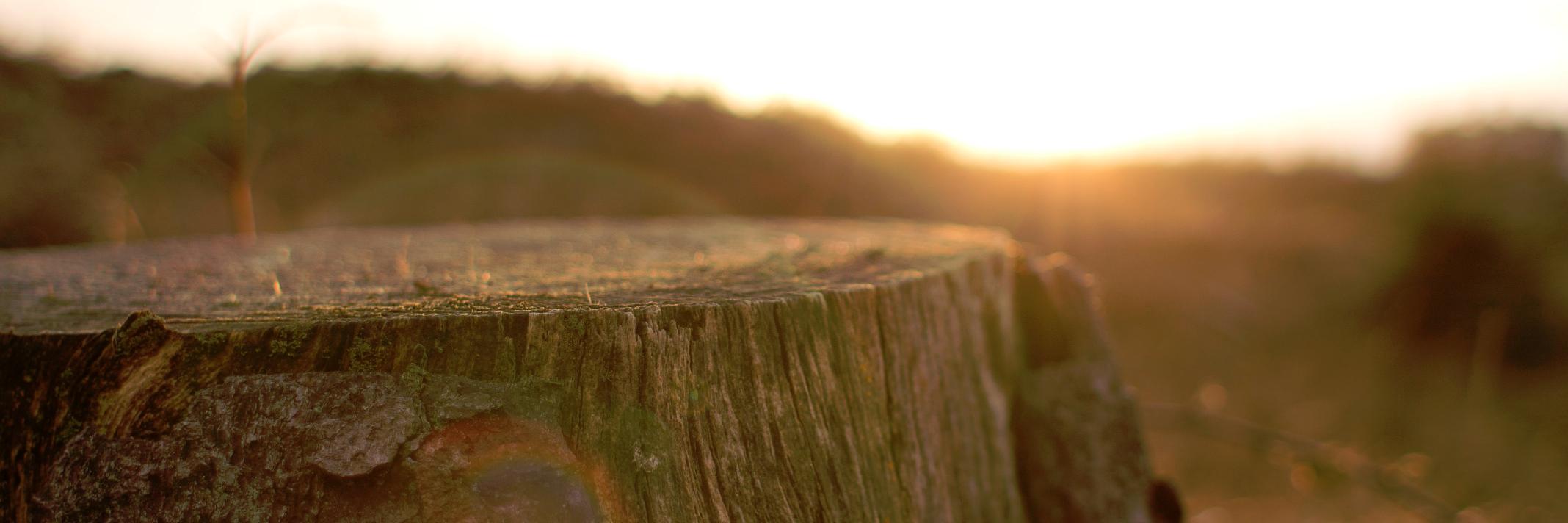 mikegaardman's profile banner image
