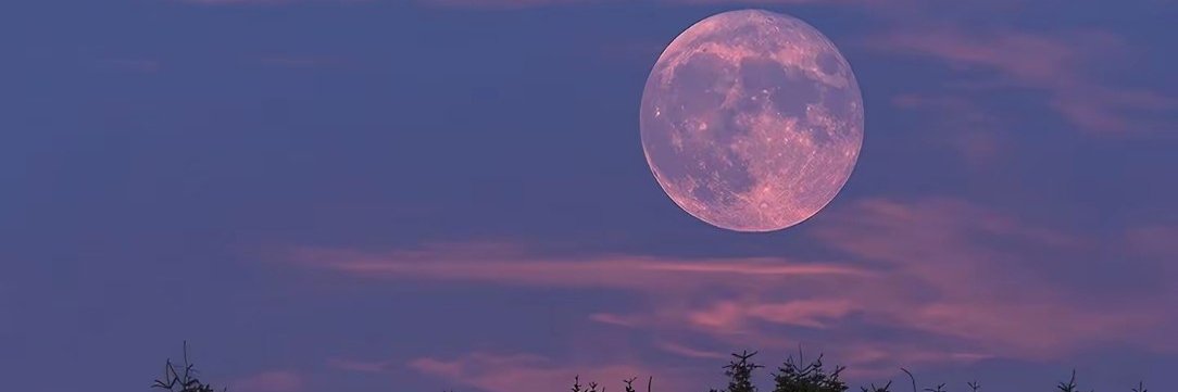 Jesse_Radke's profile banner image