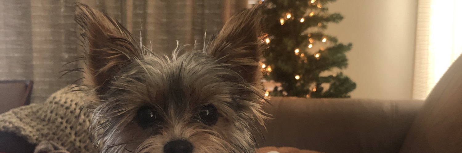 lele_griffith's profile banner image