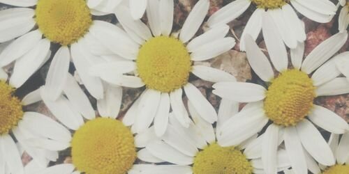 2712Anna's profile banner image