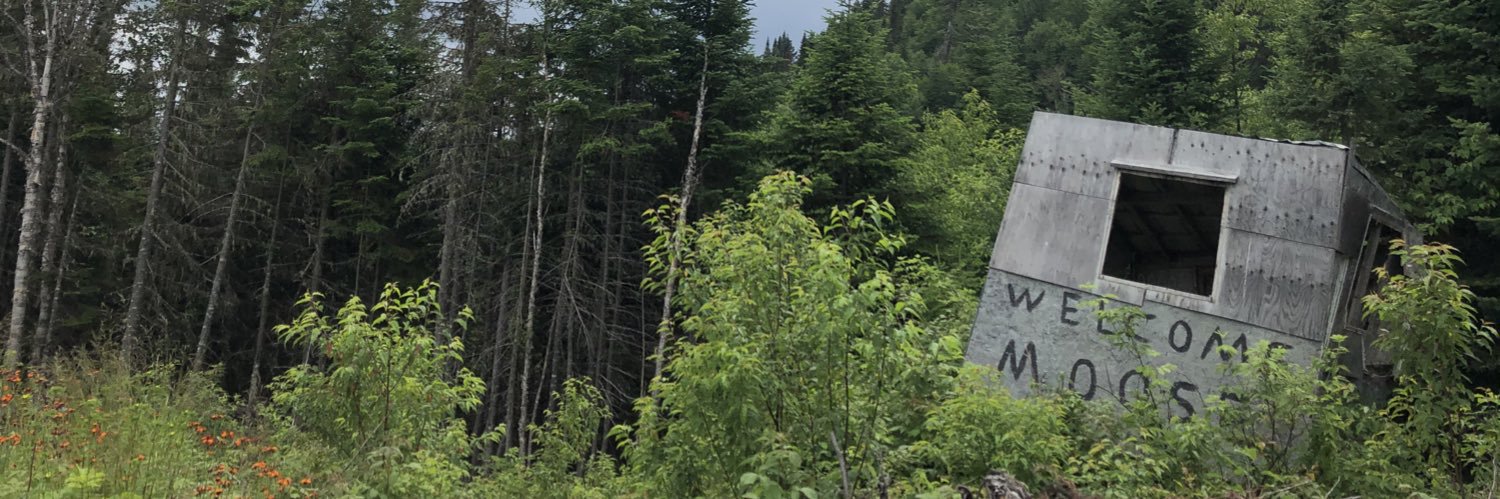 Dylan Nez banner