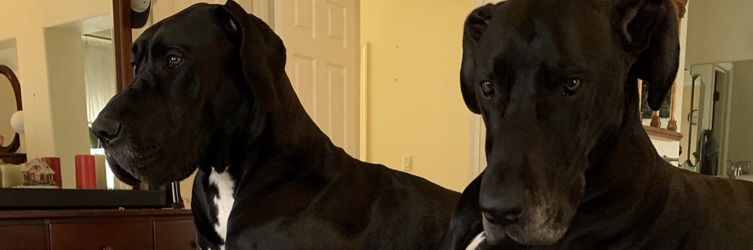 psepi's profile banner image