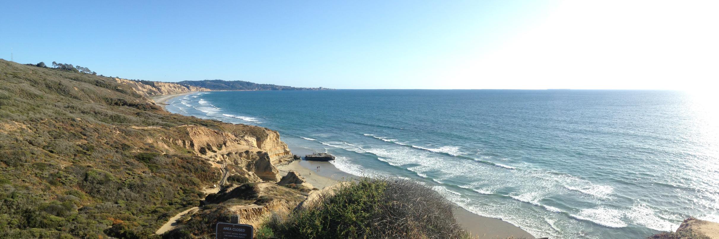 catie profaci, phd banner