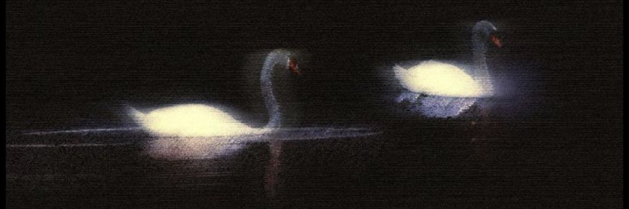 _97lll's profile banner image