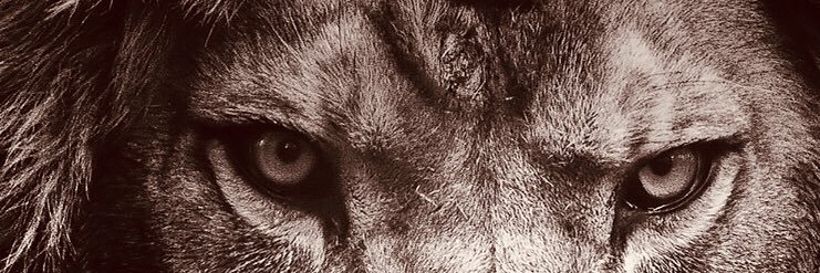 ceejay_paul's profile banner image