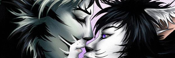 SilverTabbyTom's profile banner image