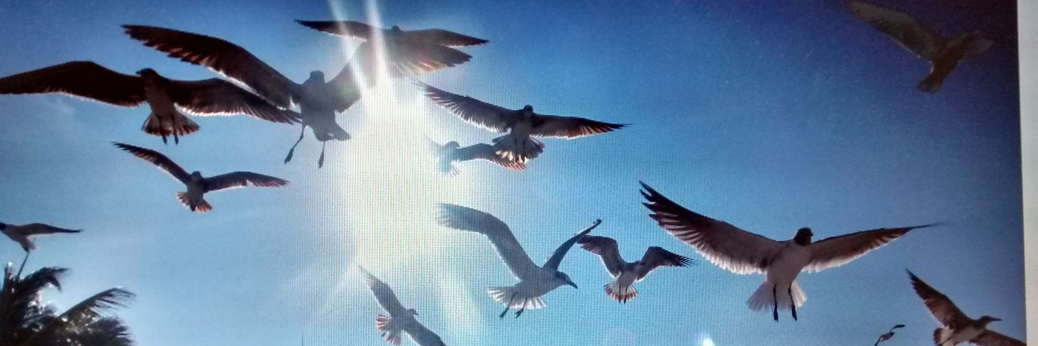 TereDelP's profile banner image