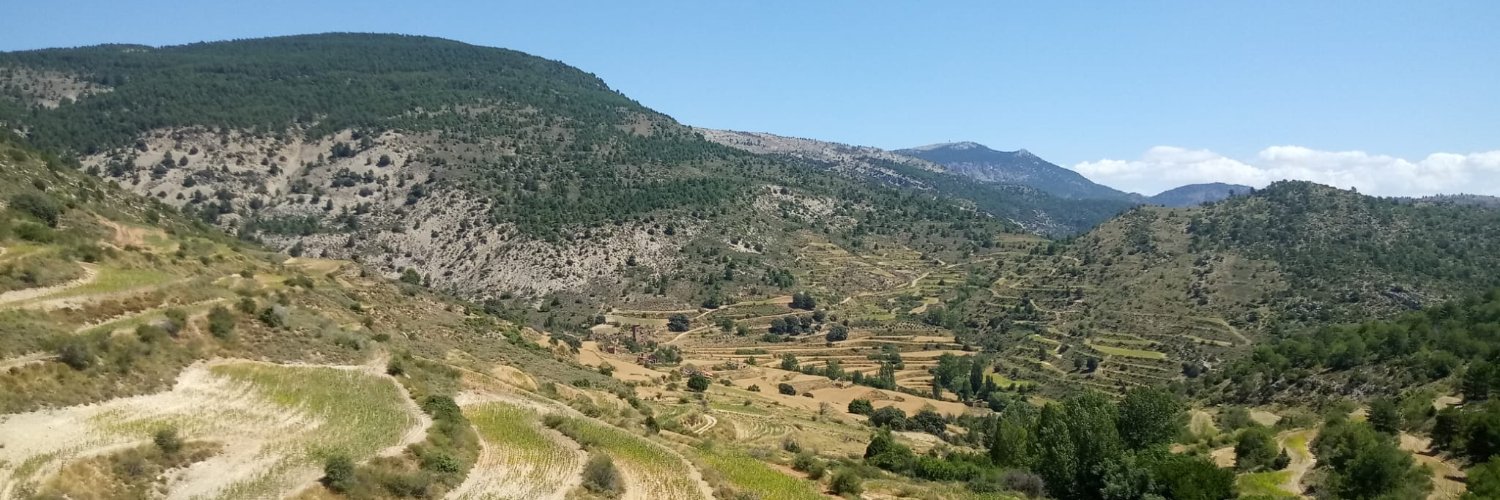 LuisEstelles's profile banner image