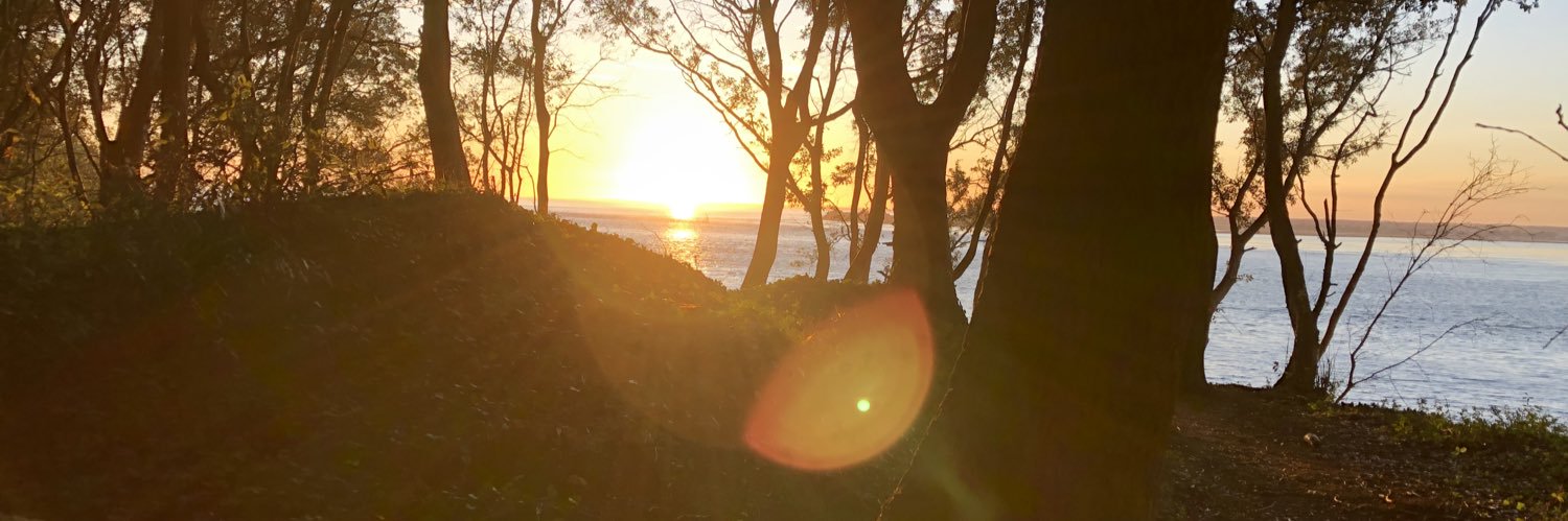 JohnnyHolmes1's profile banner image