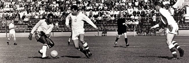 Petr Šedivý banner