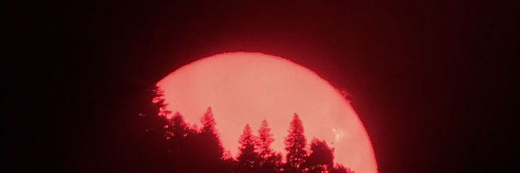 Criscony's profile banner image