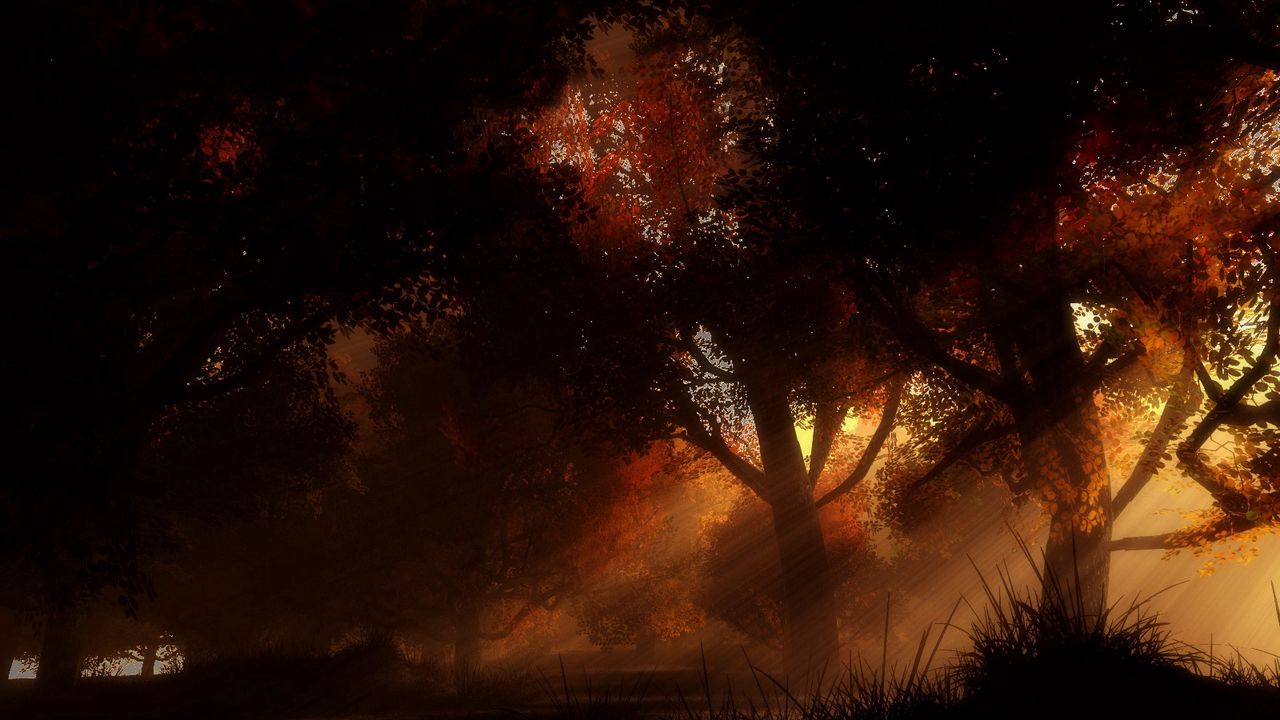 IgorTavern's profile banner image