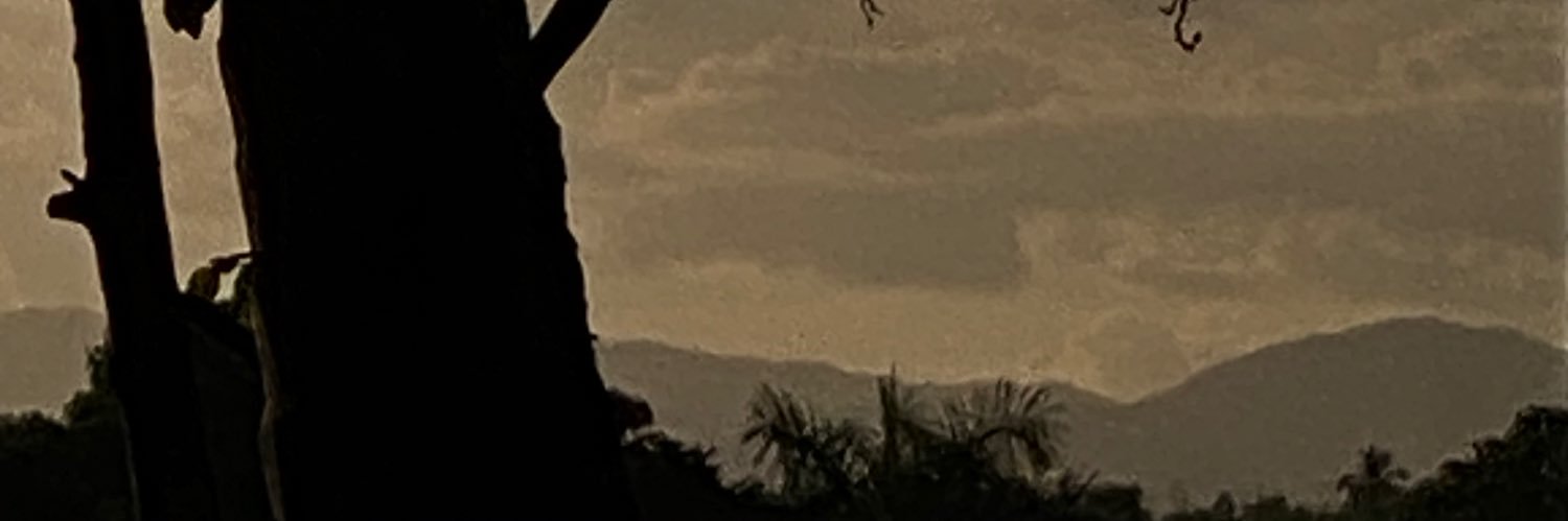 Karcamal88's profile banner image
