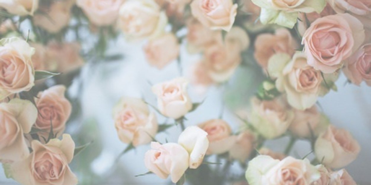 gemrose13's profile banner image