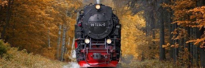 Thalys1900's profile banner image