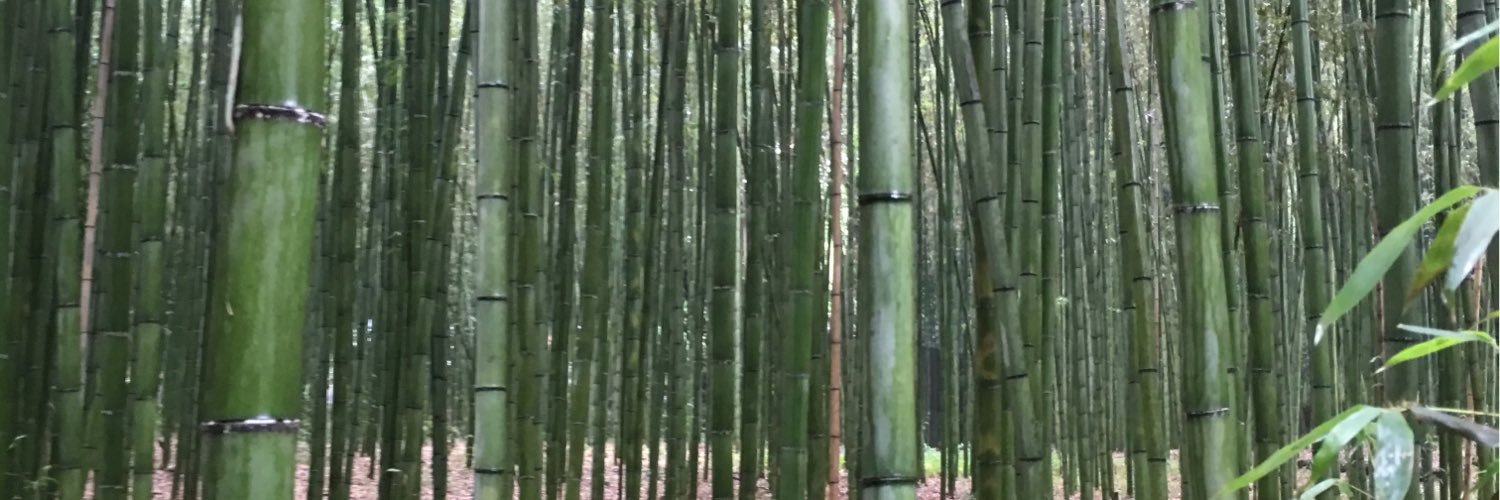 davidlechuga11's profile banner image