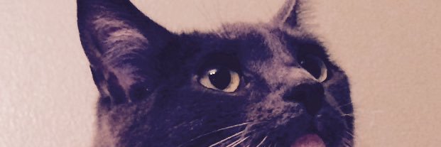 JezebelsKeeper's profile banner image