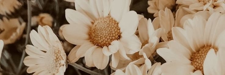 catch_clouds's profile banner image