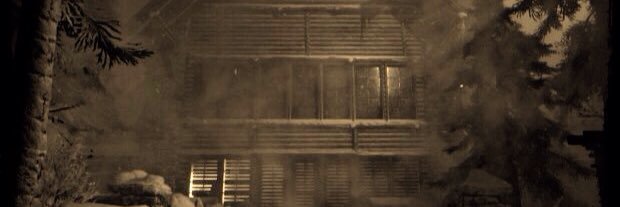 WoebegoneMother's profile banner image