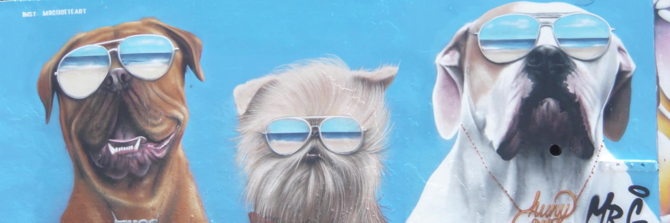 paulotowers's profile banner image