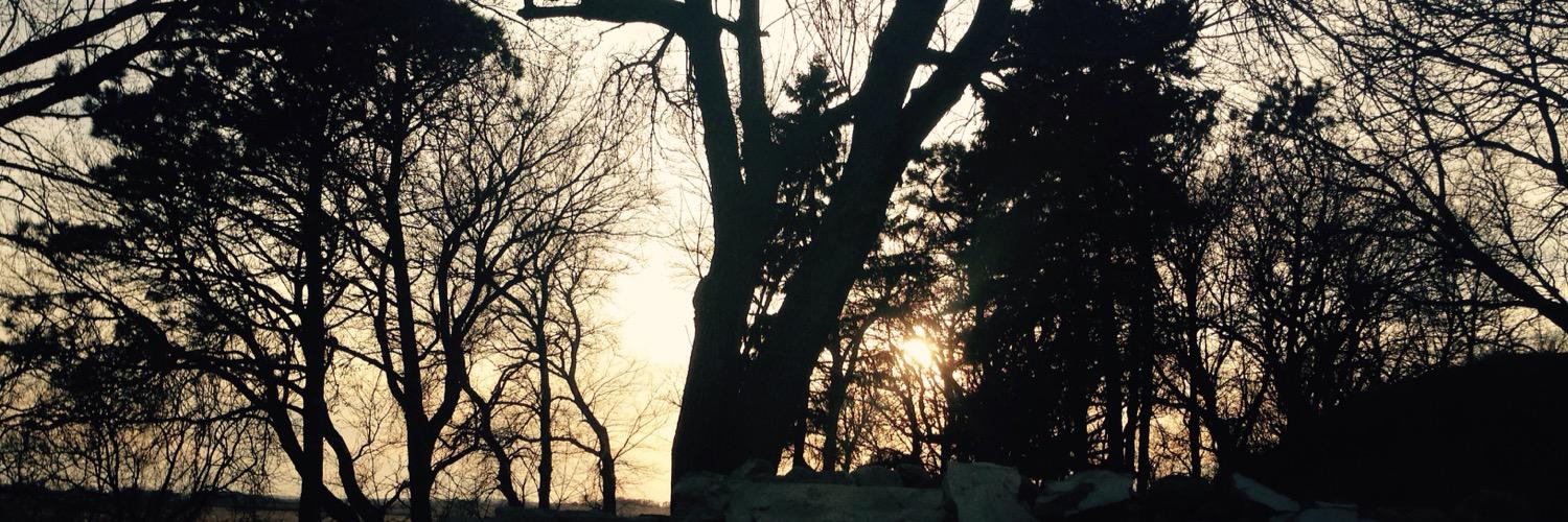 ElyIsaiah74's profile banner image