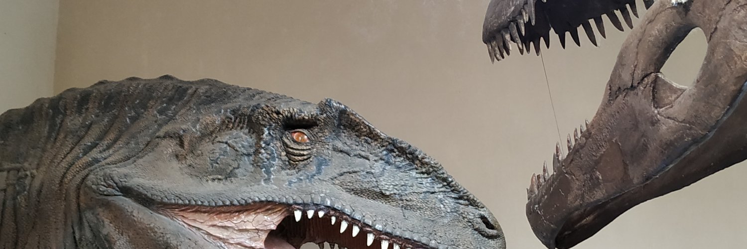 ckforleo's profile banner image