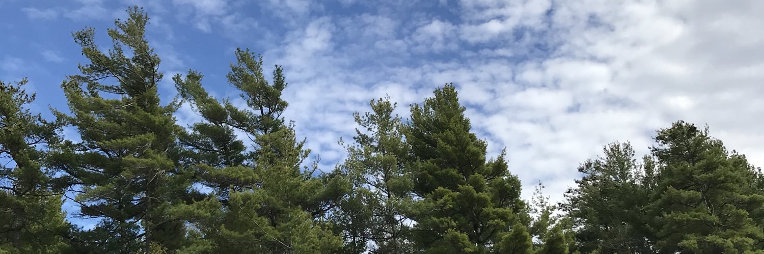 geosab17's profile banner image