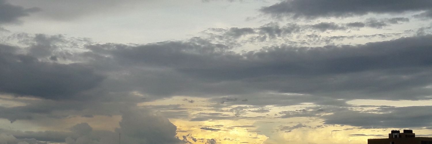 patridayo's profile banner image