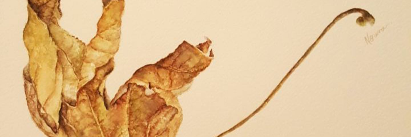 NouraAlhashmi's profile banner image