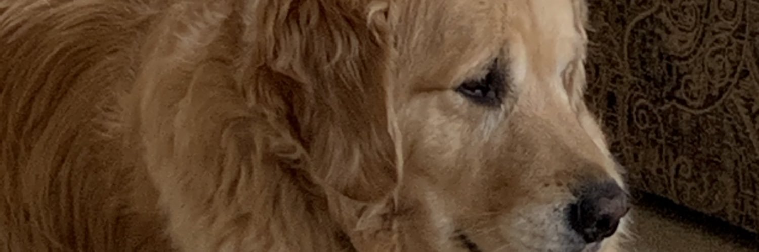 99John's profile banner image