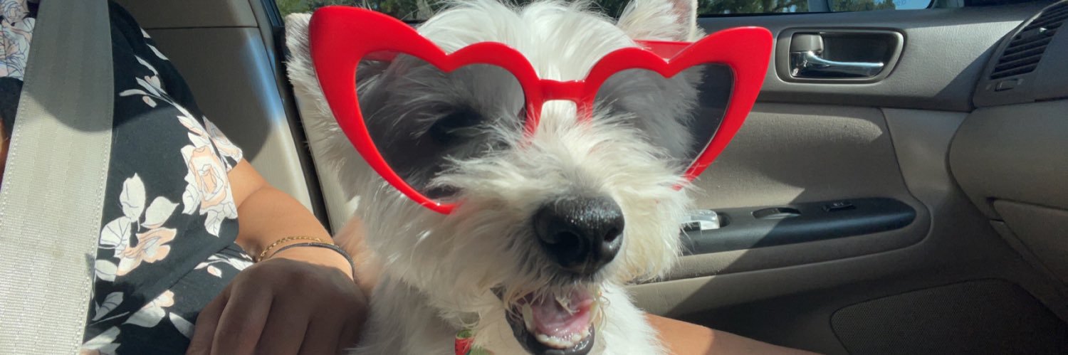 PickleHeadNell's profile banner image