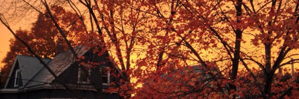 atothegreen Profile Banner