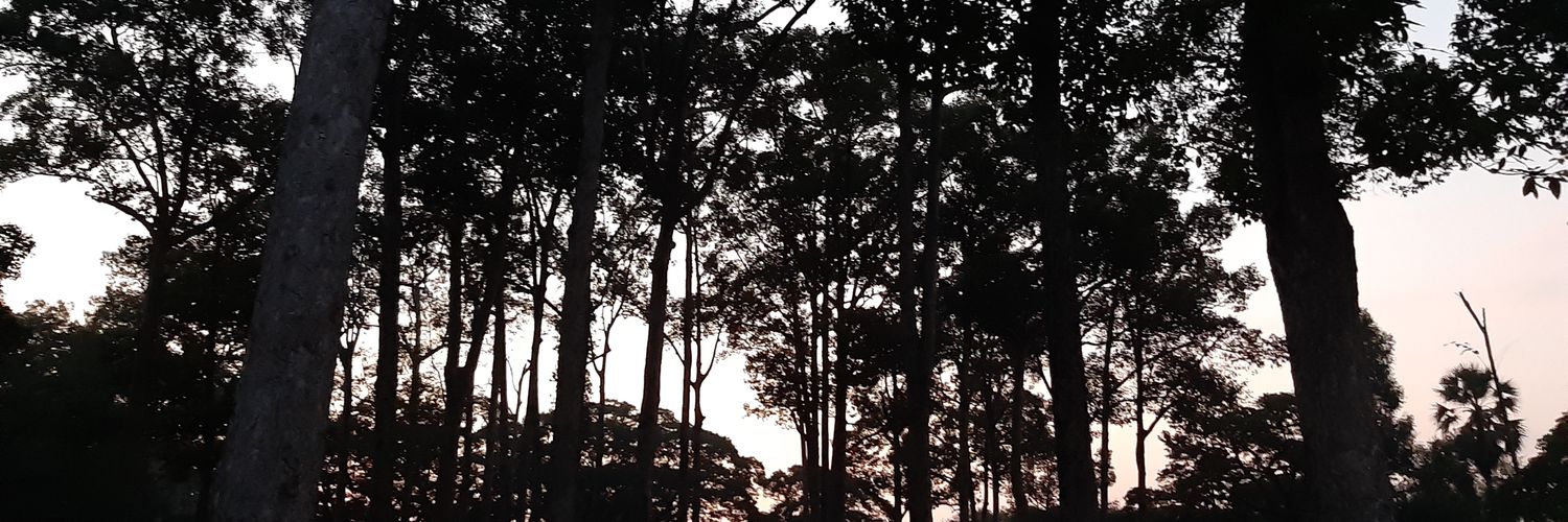 Ana_Ponce's profile banner image