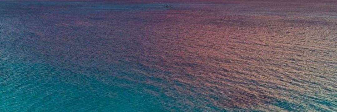 trix758's profile banner image