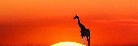 mr_Misterious10's profile banner image