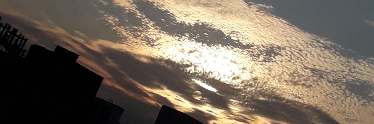 fran_cividini's profile banner image
